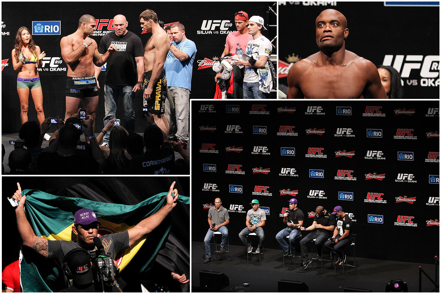 UFC 134