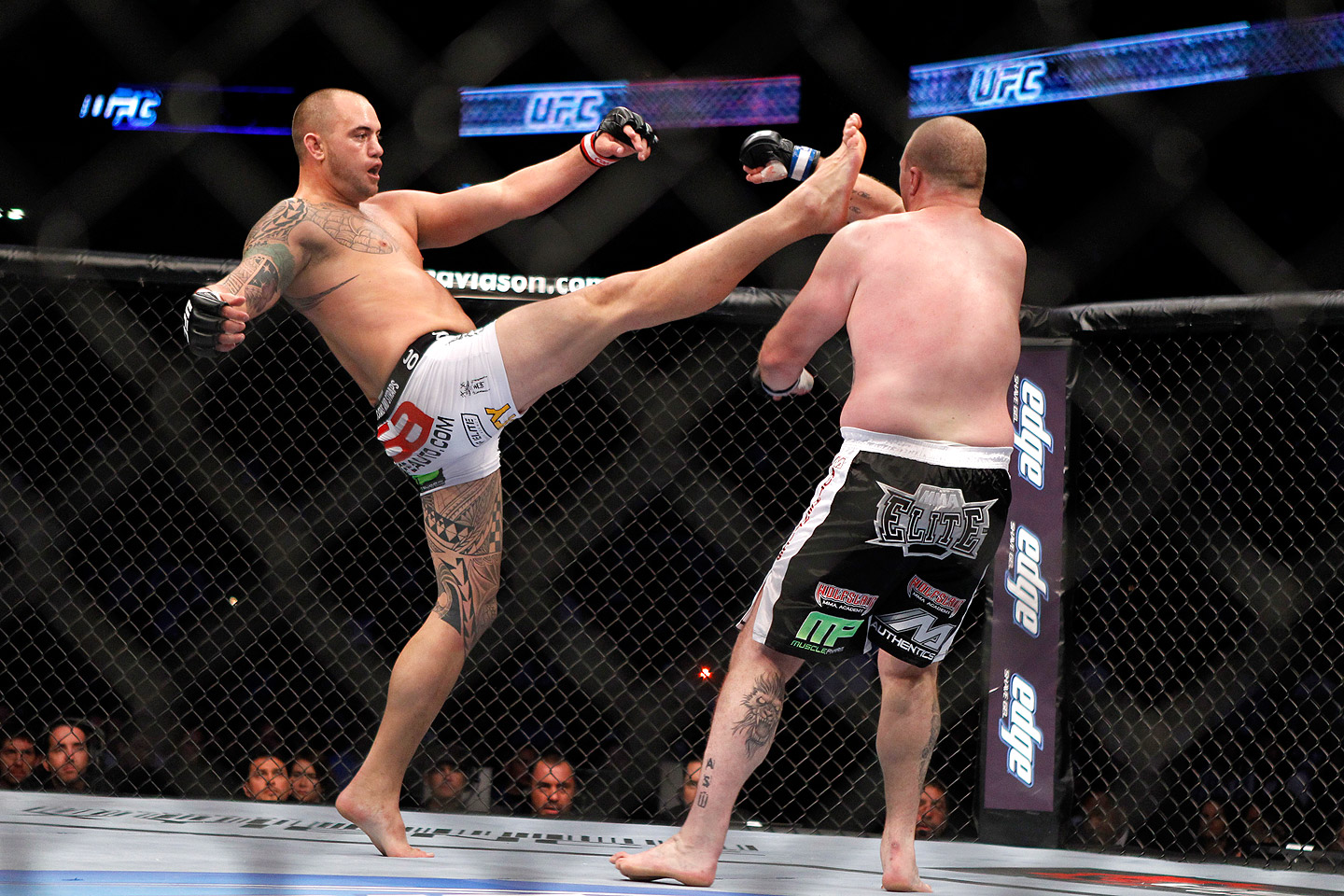 Best Mma Pictures 84