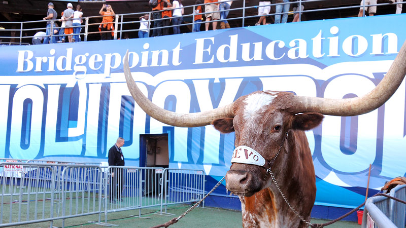 Bevo