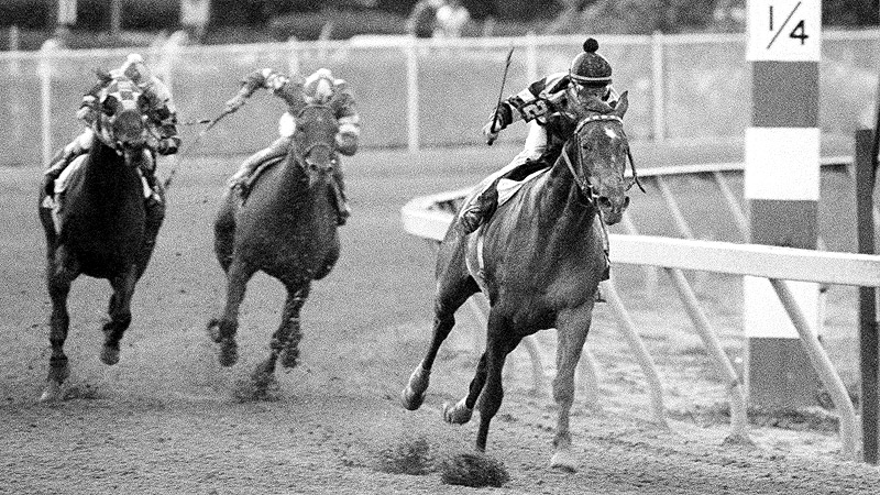 Spectacular Bid