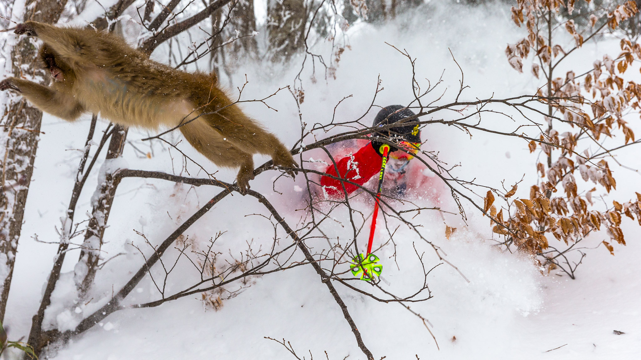 Corbin Selfe, Canada