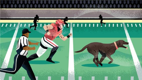 When a Georgia football game was interrupted by my dog on the field - ESPN