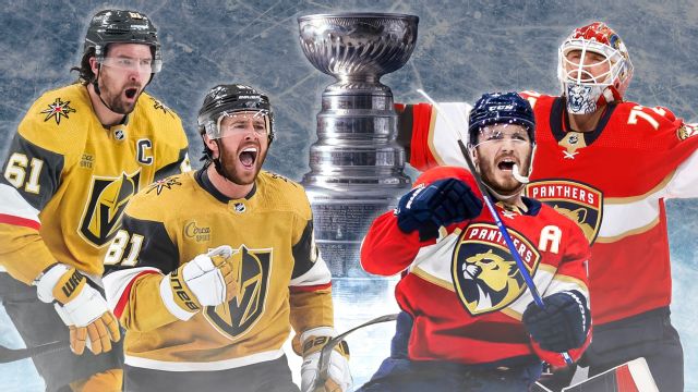 Pittsburgh Penguins Hockey NHL Stanley Cup fan starter winter