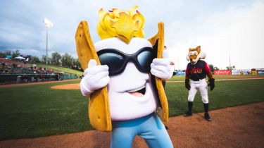 Green man mascot baseball player, baseball disguise