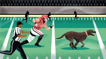 Dog joins professional football match ⚽️