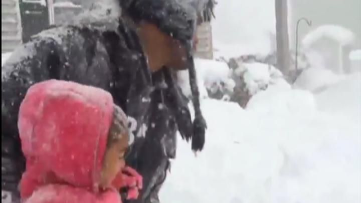 buffalo bills snowball fight