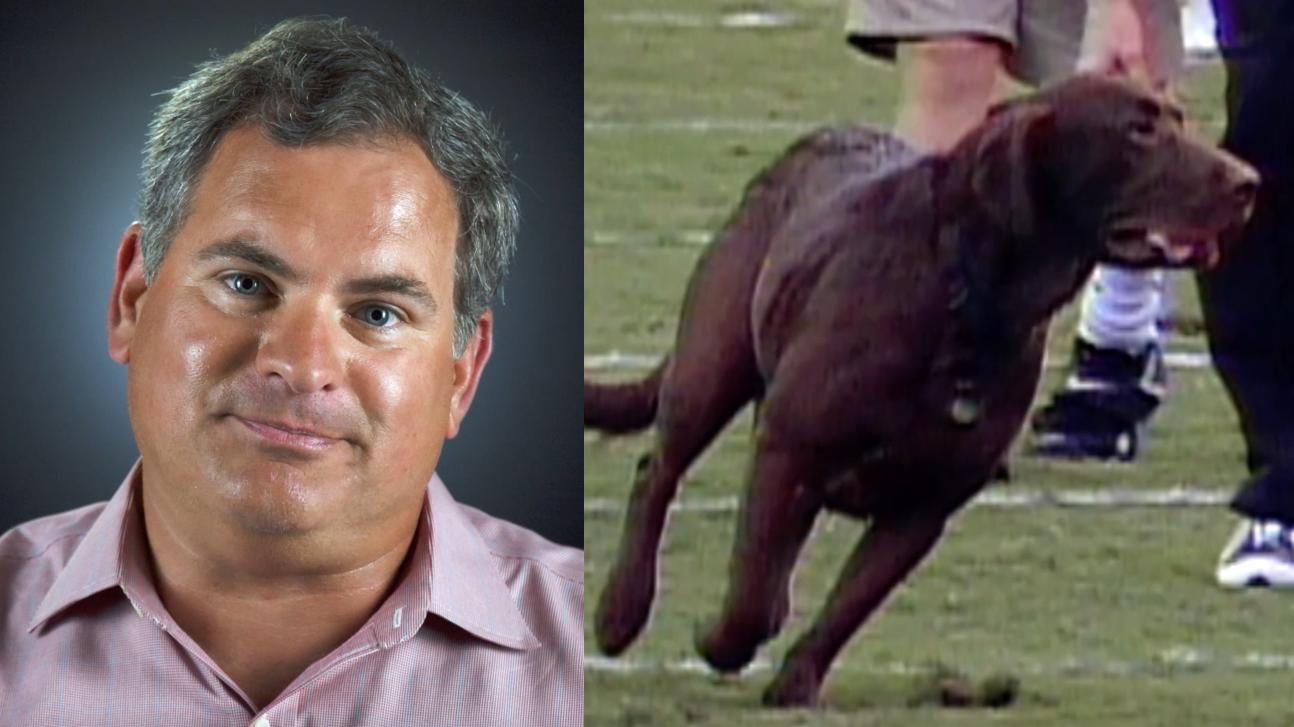 Schlabach's dog runs onto field during football game ESPN Video