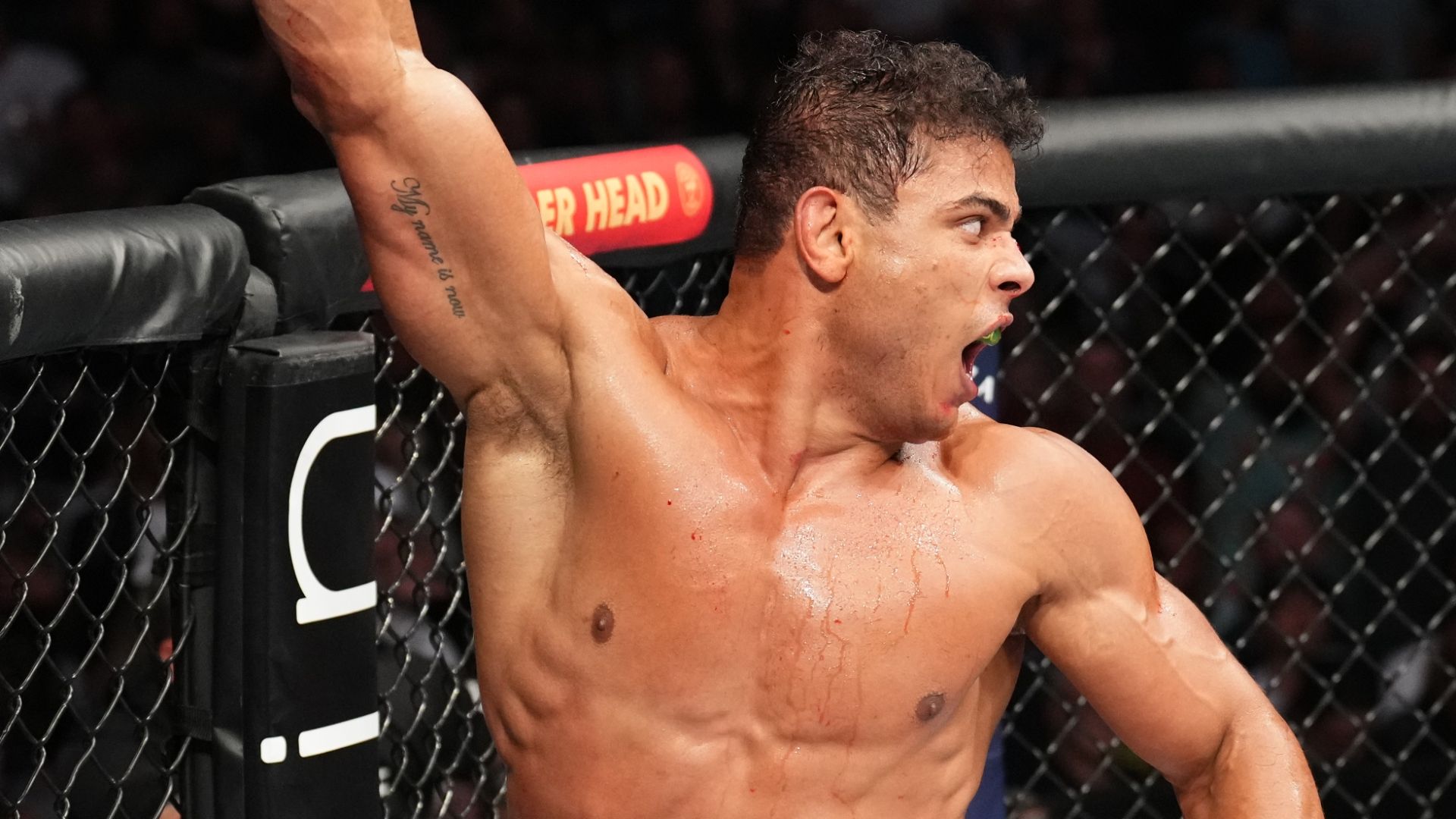 Trump's UFC 327 Appearance: More Than Just a Spectator