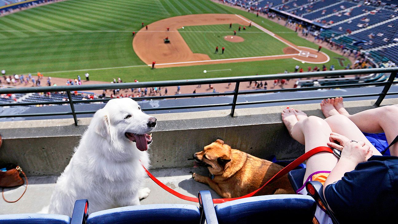 Dog days for Brewers fans