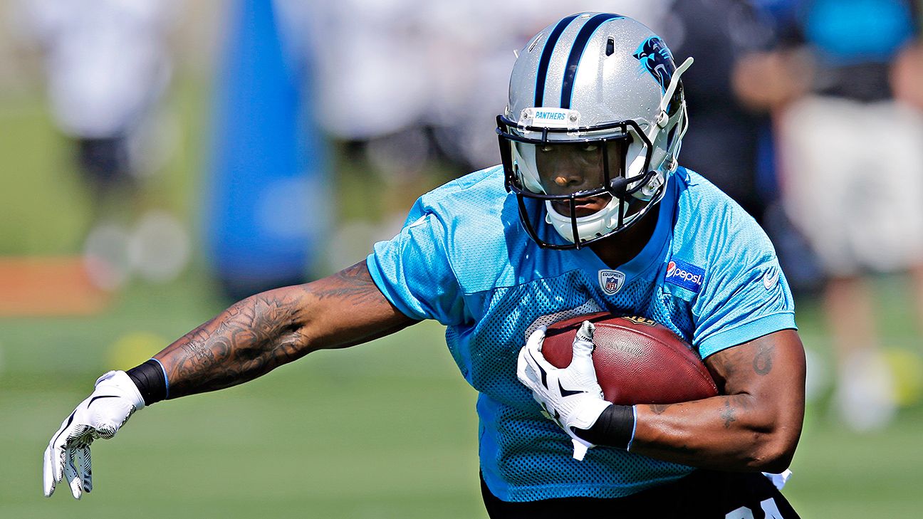 Carolina Panthers rookie Cameron Artis-Payne took long journey to NFL - ESPN