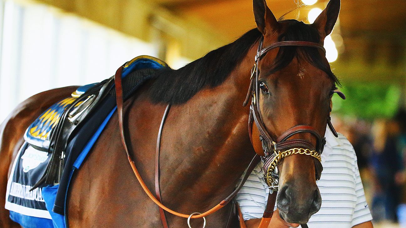 American Pharoah Wins Preakness In Downpour - CBS Baltimore