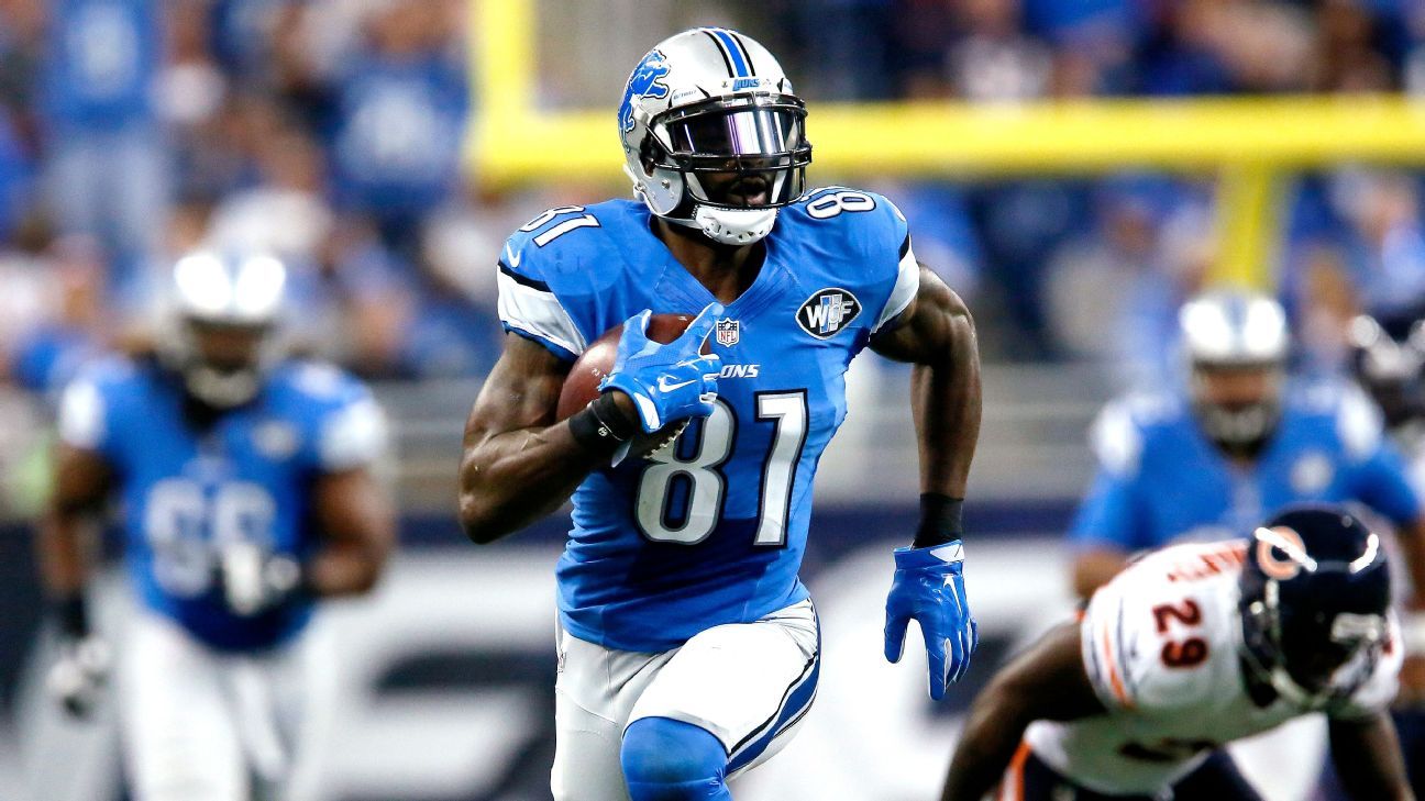 Detroit Lions: Few labels can define Calvin Johnson – Twin Cities