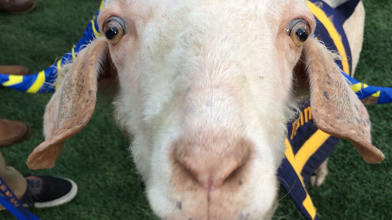 Army's cadets nab wrong goat in effort to kidnap Navy's mascot