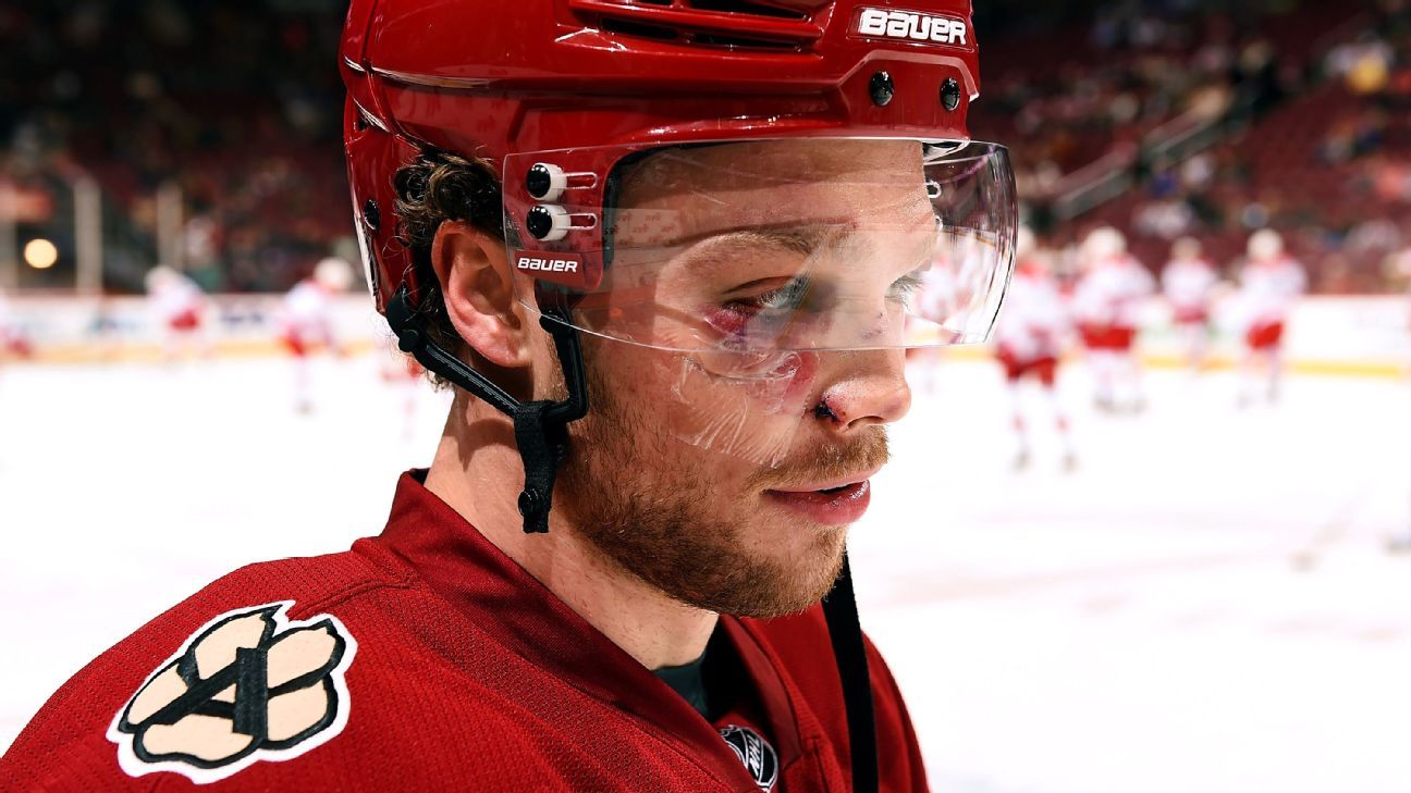 Max Domi Looks to Make Name for Himself in NHL