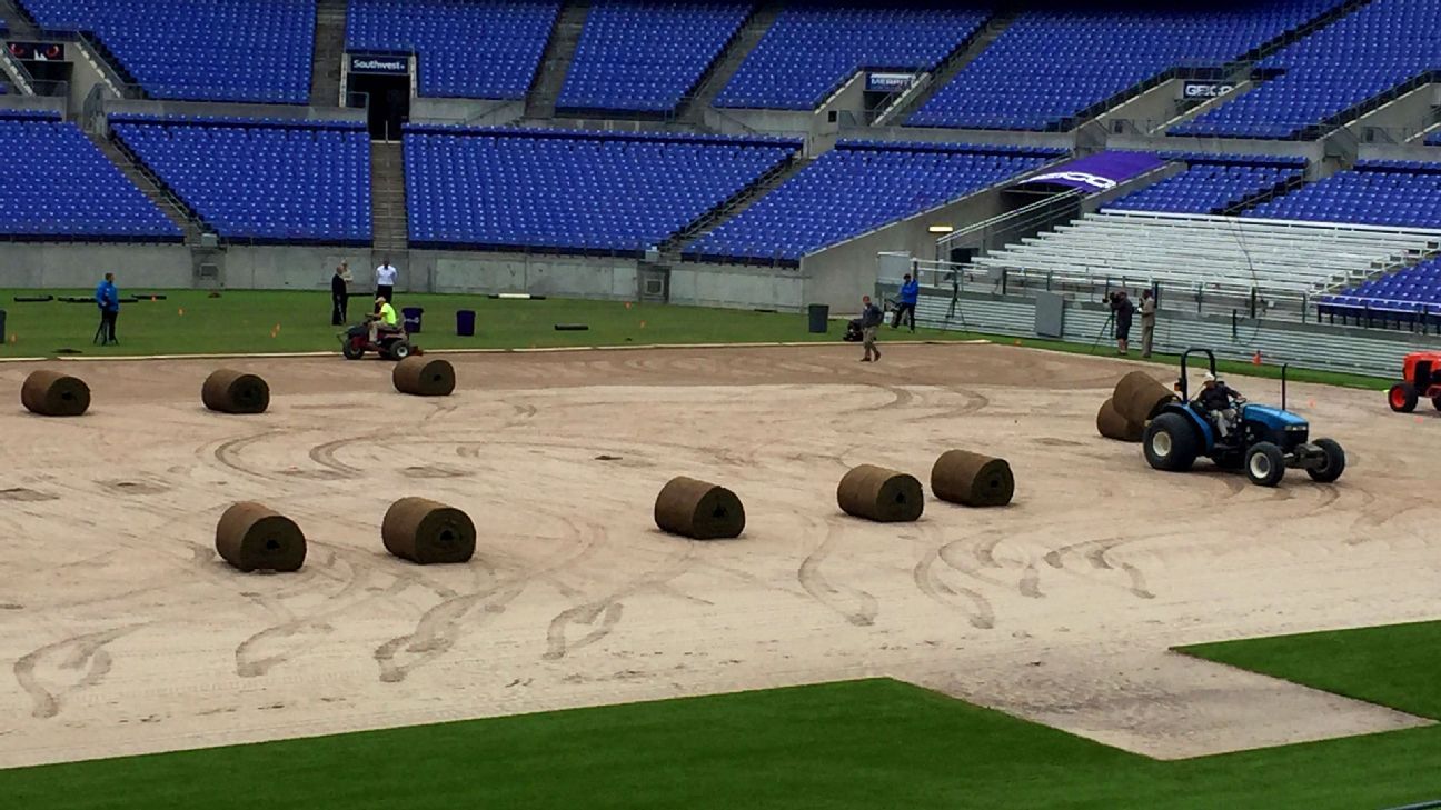 Baltimore Ravens join natural grass club thanks to new lighting