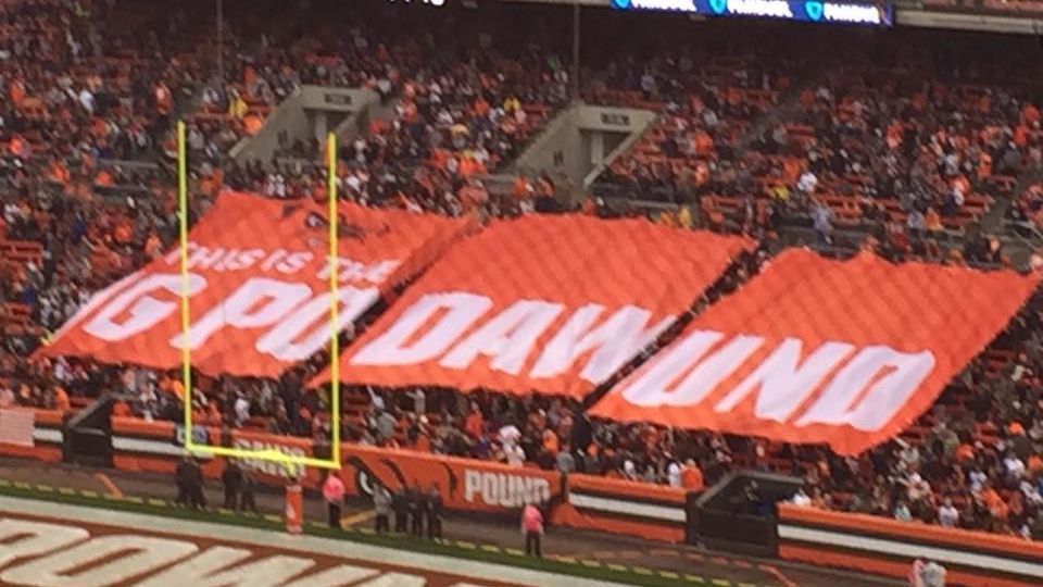 Cleveland Browns Dawg Pound Flag