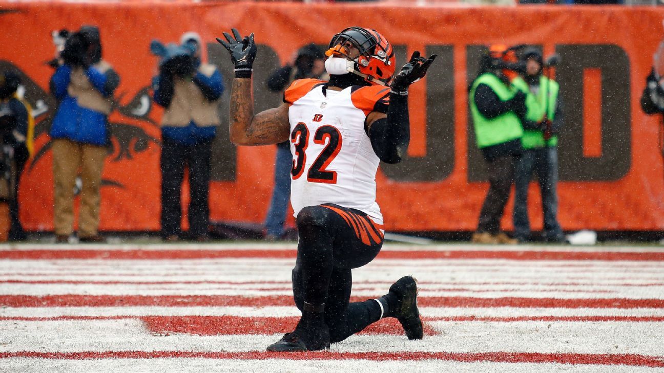 Bengals' D leads sweep of Steelers - ESPN - AFC North- ESPN