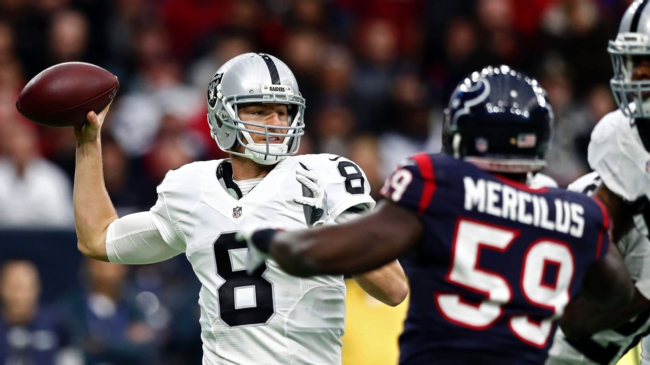 NFL - A New England Patriots vs. The Oakland Raiders AFC Championship Game?  