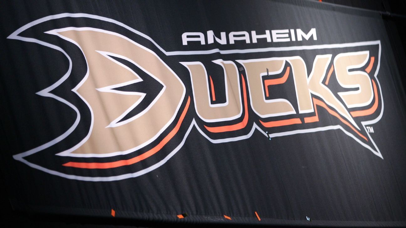 Anaheim Ducks Wallpapers - Top Free Anaheim Ducks Backgrounds