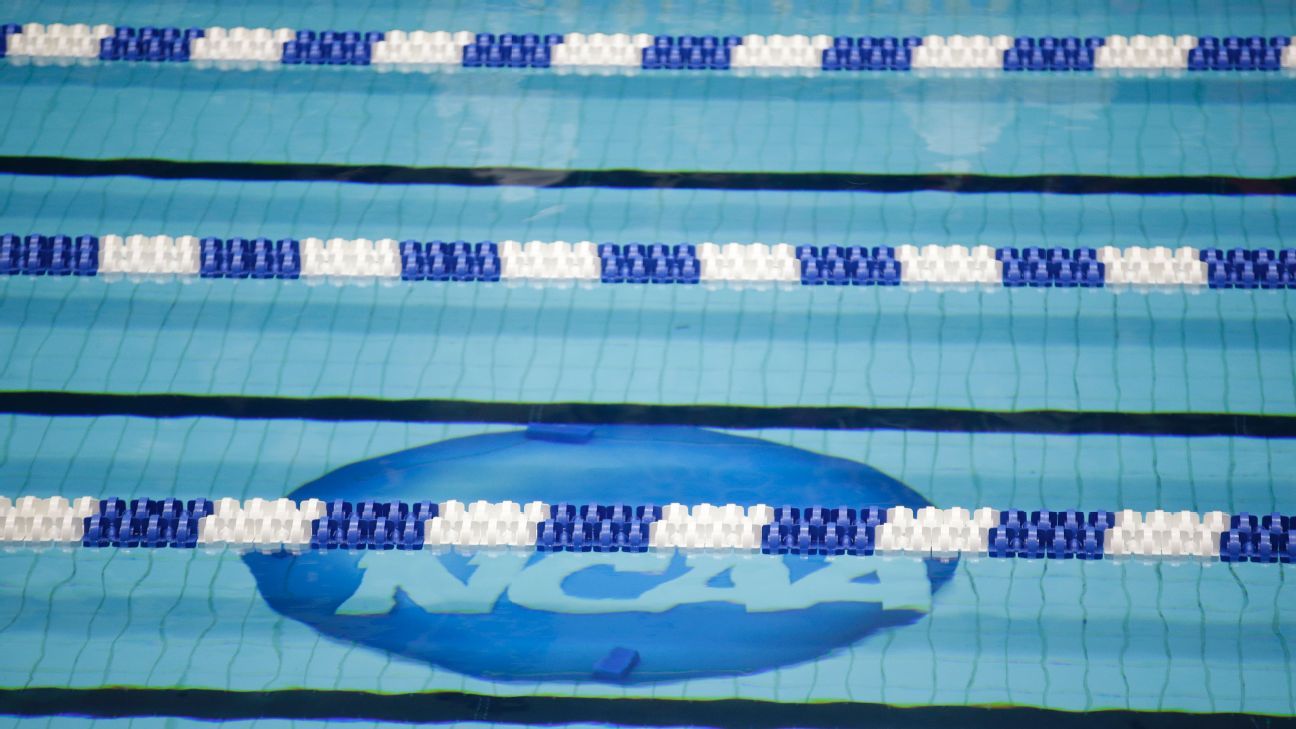 N.D. suspends men’s swim team over gambling