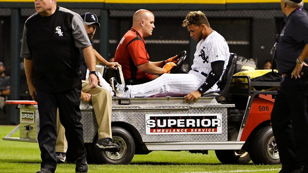 White Sox's Yoan Moncada, WIlly Garcia hurt in outfield collision