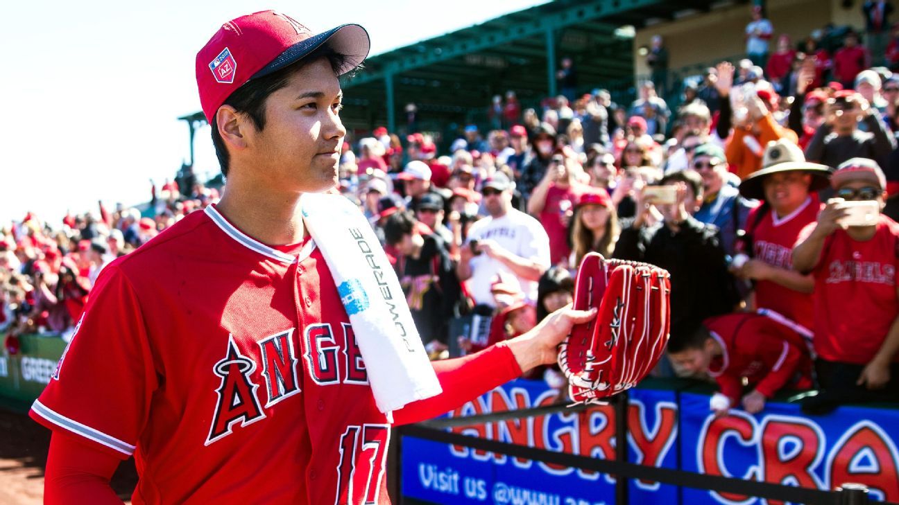 Ohtani delivers on mound, at plate as Angels top D-backs 6-5, The Daily  Courier