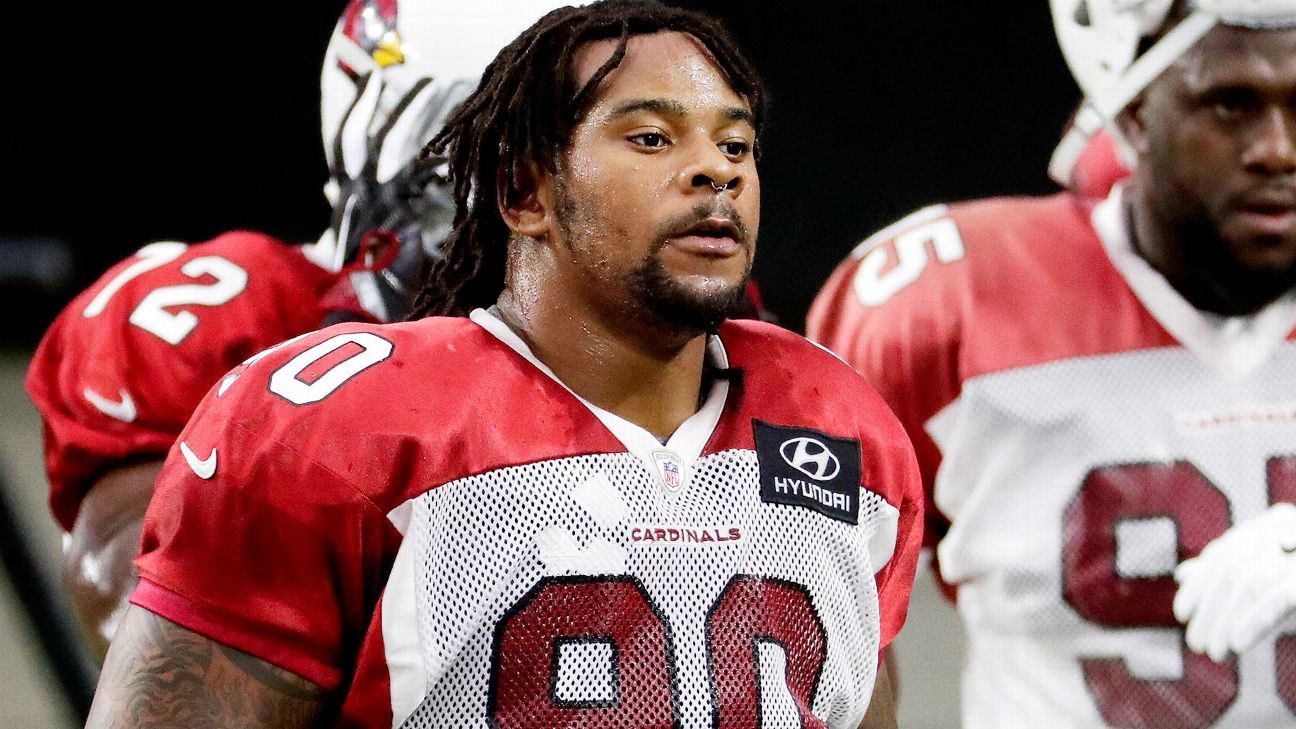 Miami Dolphins sign former Cardinals DL Robert Nkemdiche