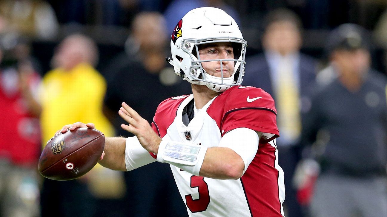 Josh Rosen, New England Patriots An Ideal Fit - Last Word on Pro Football