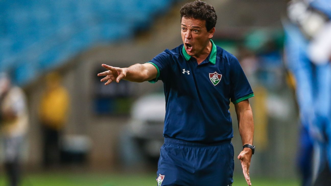 Fernando Diniz lamenta saída de Ganso no começo de jogo contra o Verdão