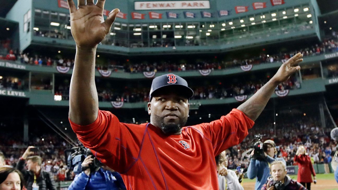 The Dominican Republic's designated hitter David Ortiz waves his country's  flag after helping defeat Venezuela, 11-5, during their Round 1 World  Baseball Classic game in Lake Buena Vista, Fla., Tuesday, March 7