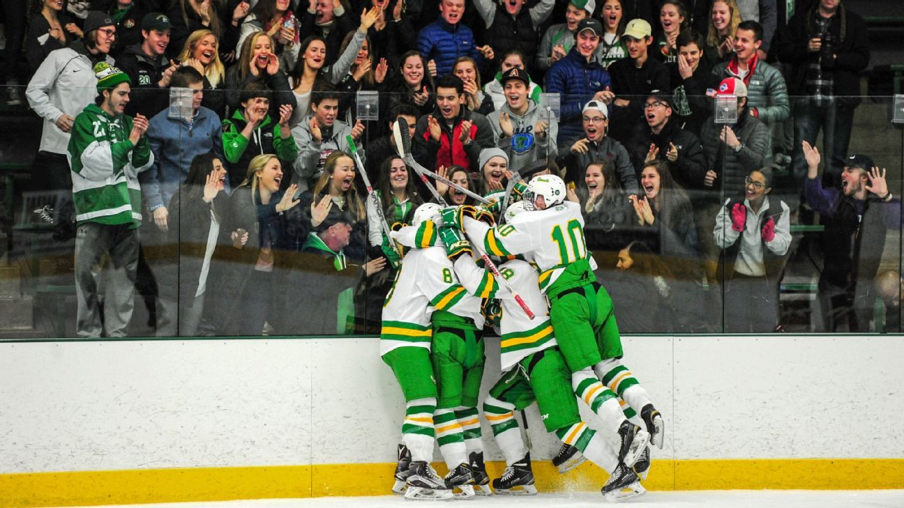 Former Edina hockey stars together again (not exactly)