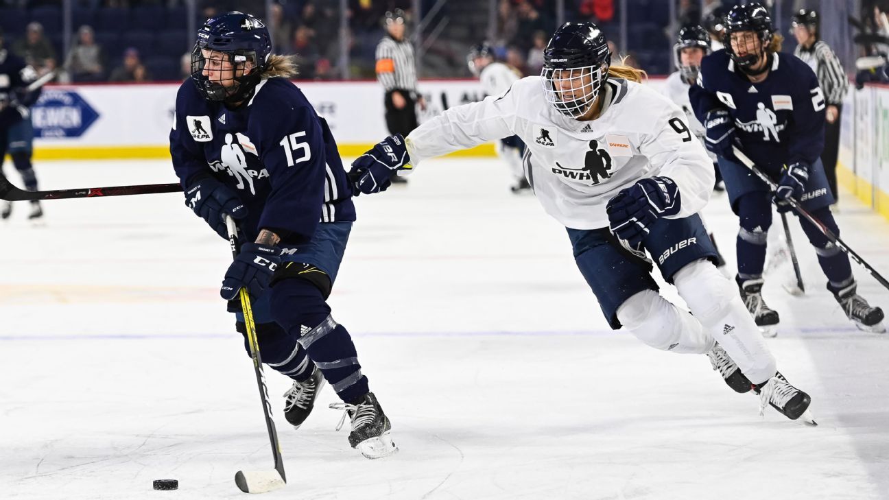 dream gap tour women's hockey