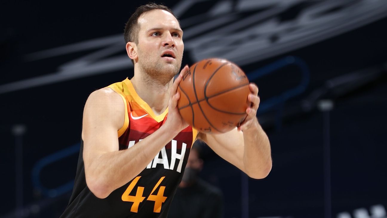 Bojan Bogdanovic, Basketball Player