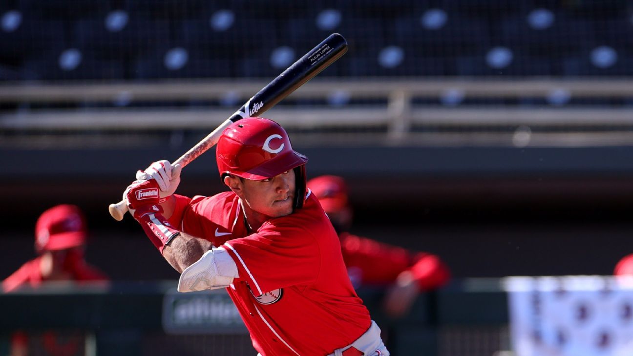 Cincinnati Reds #15 Prospect: Alejo Lopez - 2B 