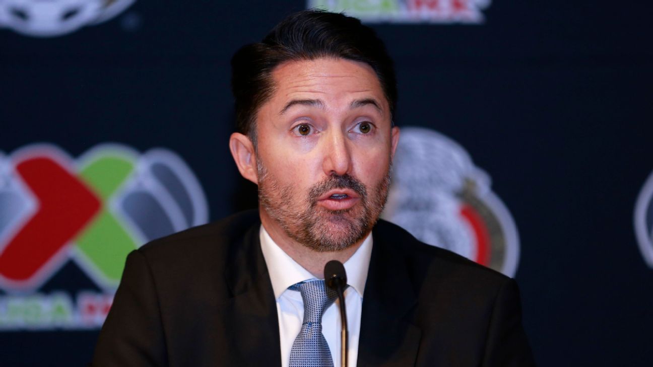 Mexico federation president Yon de Luisa won't run for re-election