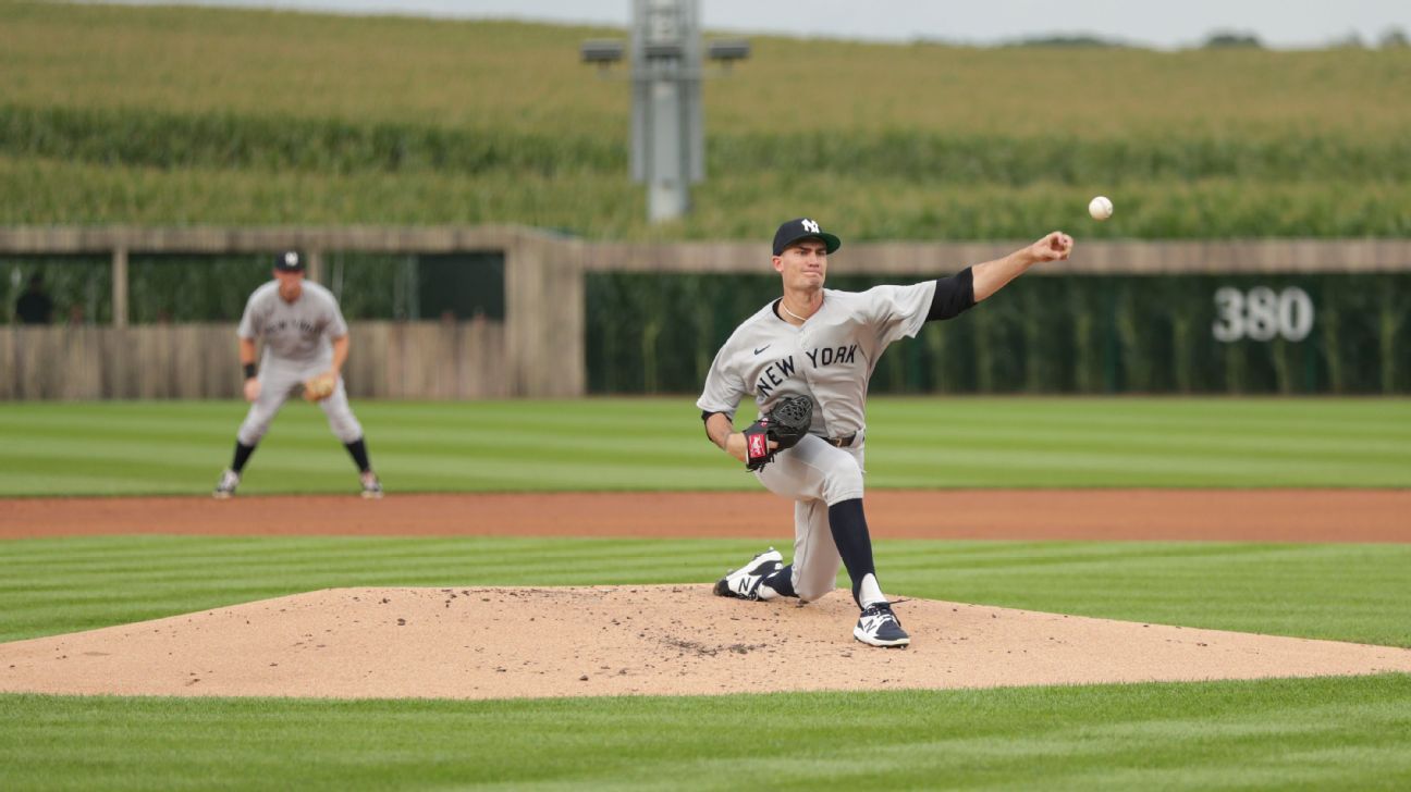 White Sox-Yankees Field of Dreams remake captures baseball fans everywhere