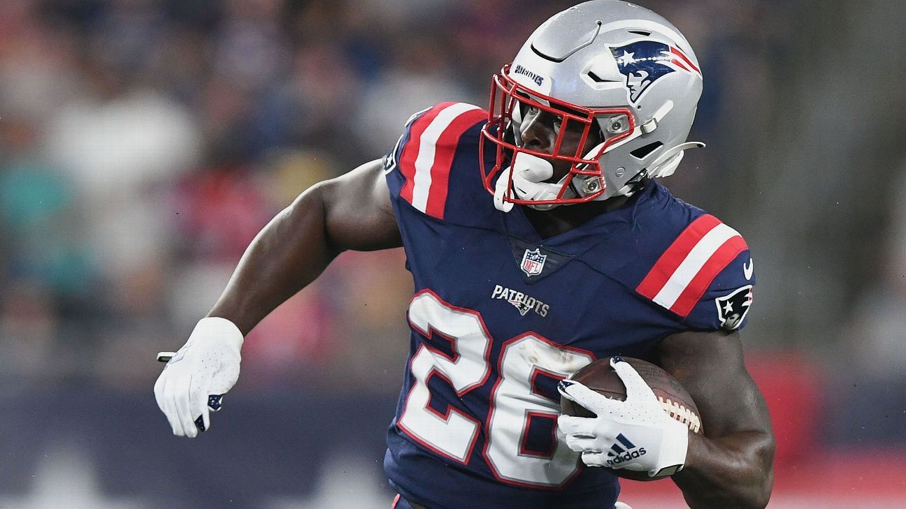 New England Patriots 2018: No pressure on Sony Michel in his first season