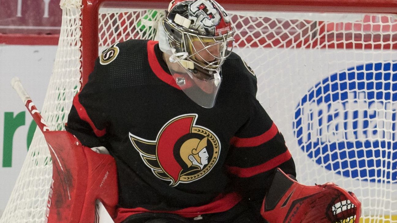 NHL - Ottawa Senators Goalie