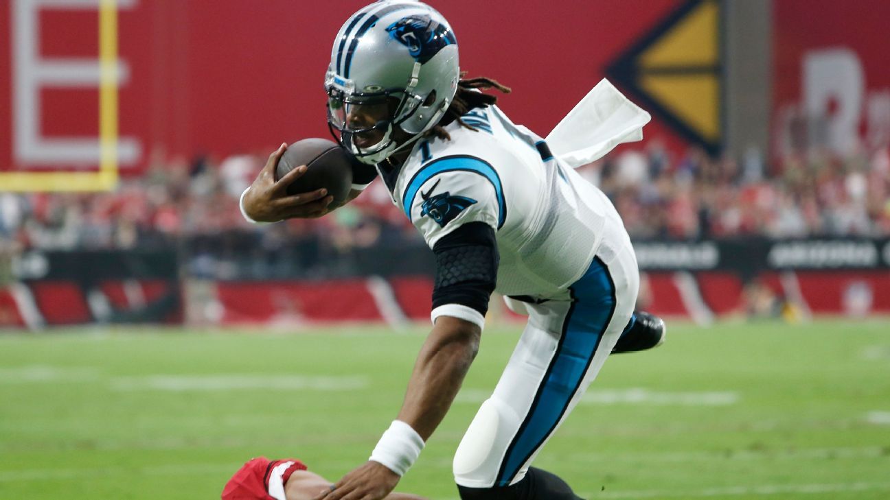 Cam Newton and the Carolina Panthers Pose for Fantastic Photo on the  Sideline