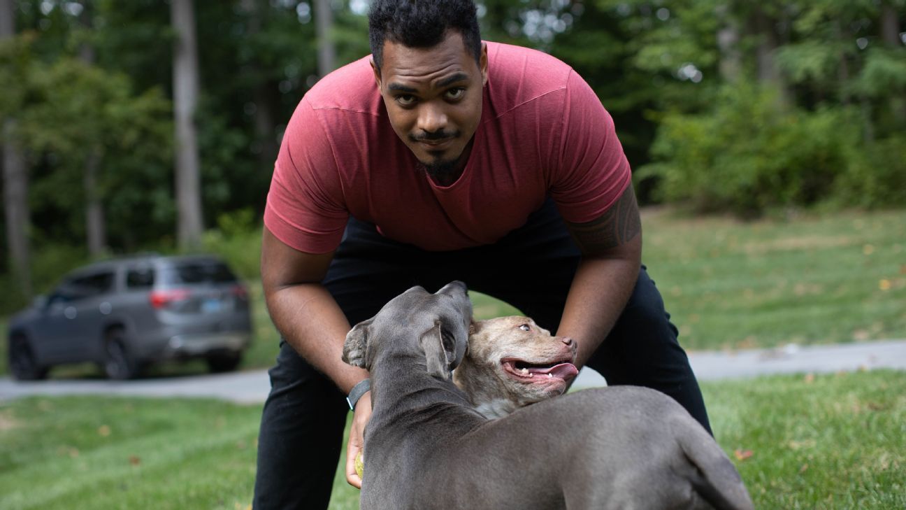 To the rescue: Ronnie Stanley's heartfelt mission to help shelter dogs -  ESPN - Baltimore Ravens Blog- ESPN