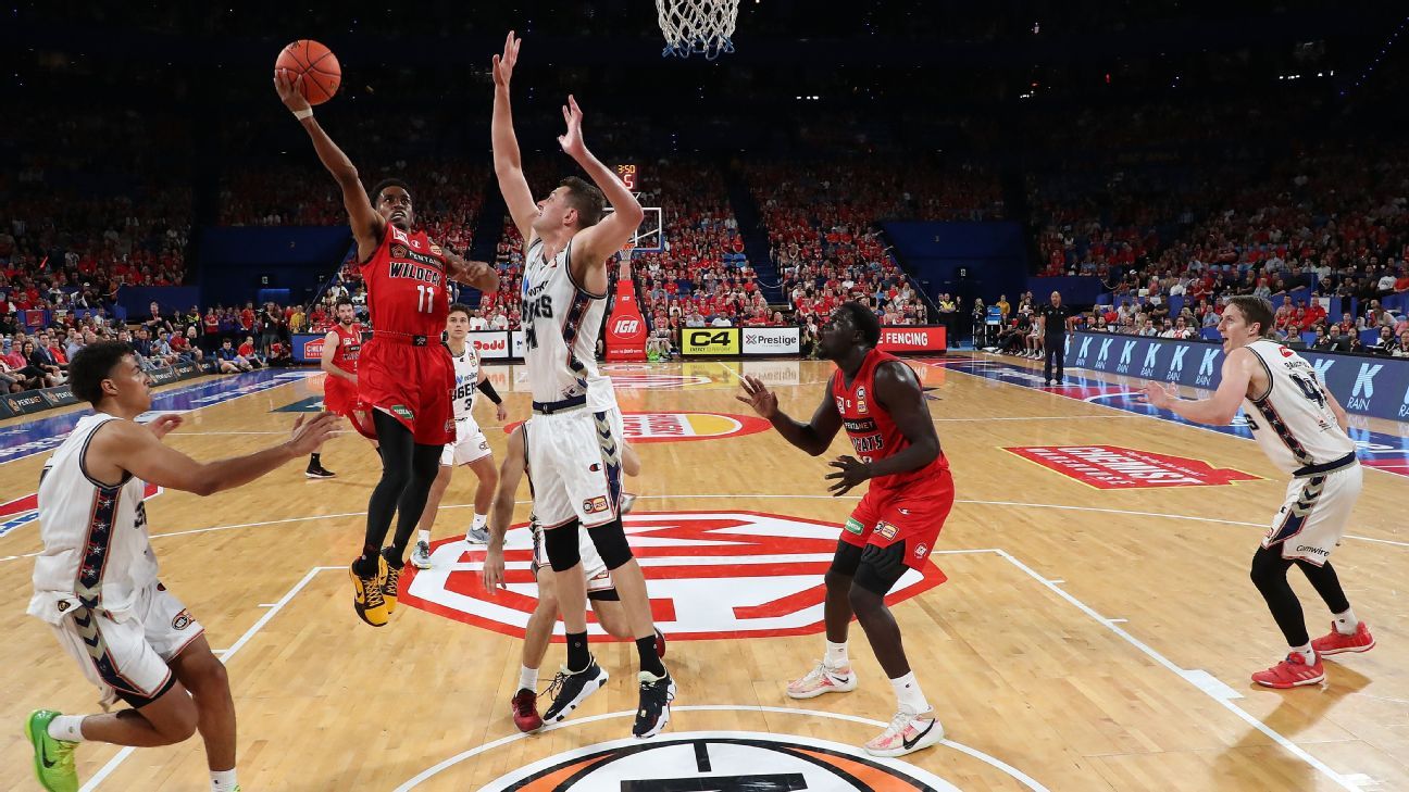 Bryce Cotton stars in Wildcats' NBL romp