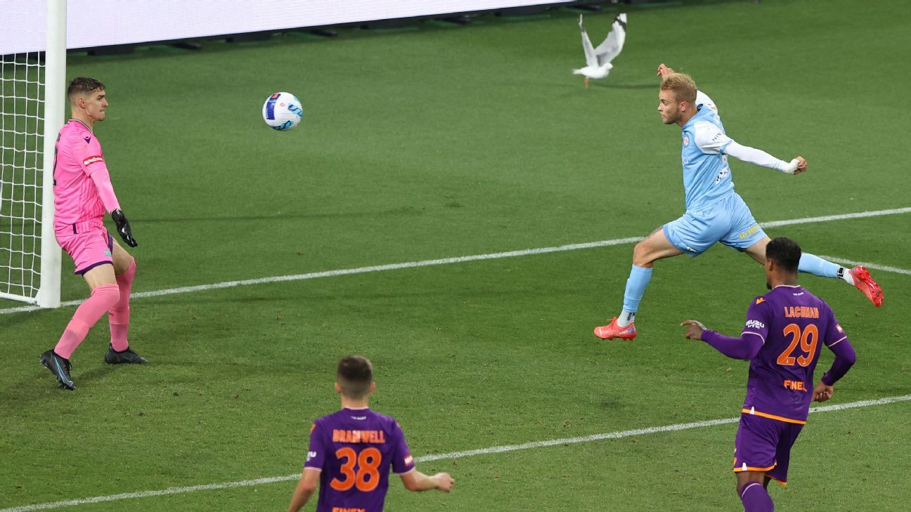 download macarthur fc vs perth glory prediction