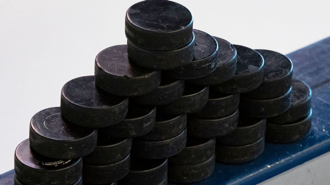 Swedish Women's Hockey League to OK bodychecking for 2022-23 season