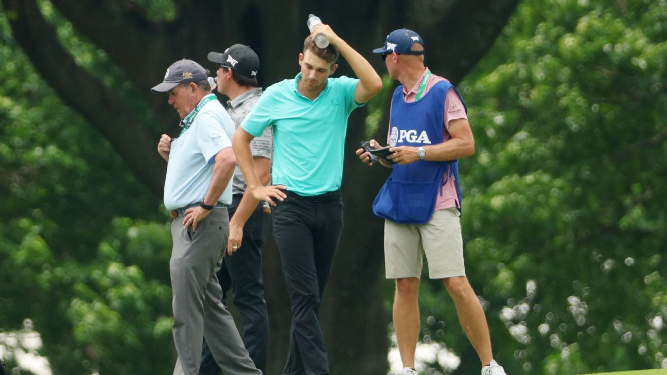 Aaron Wise struck in head by Cameron Smith tee shot, feels 'normal' after finish..
