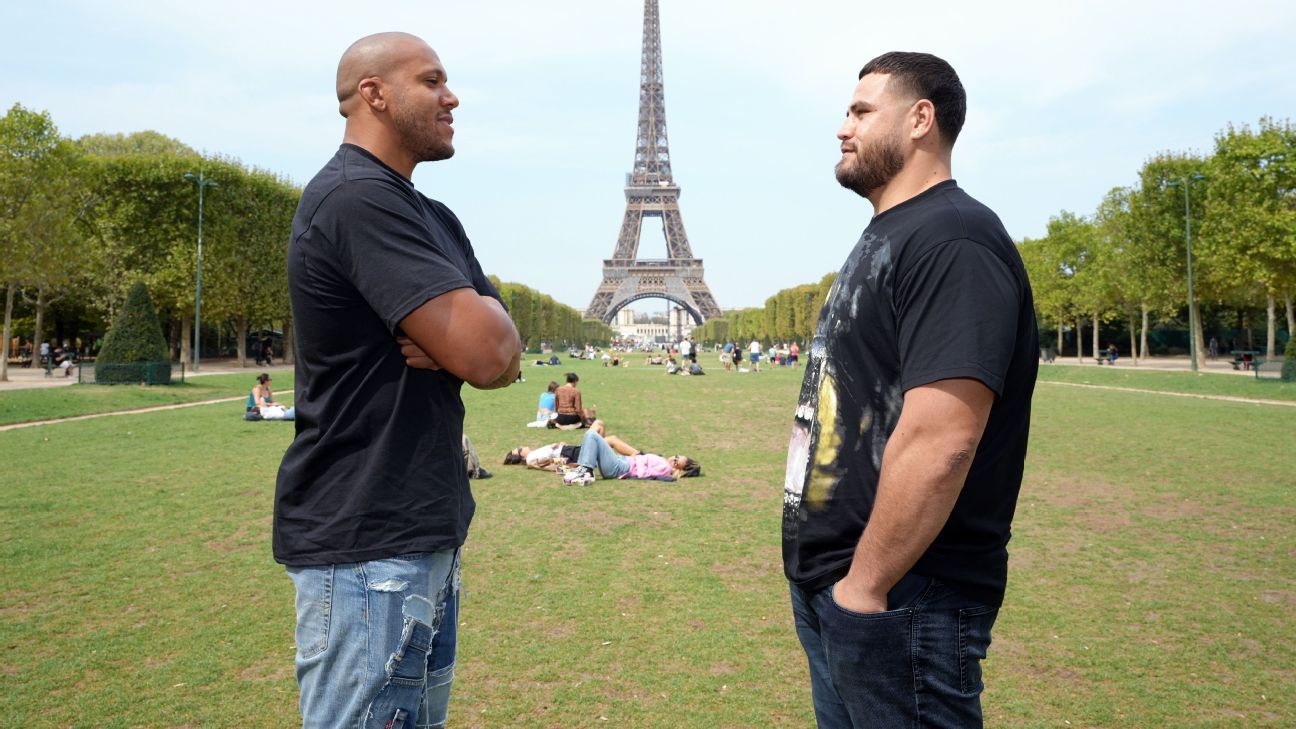 UFC admite superluta na arena do Palmeiras; Copa e eleição devem 'melar' 13  eventos no Brasil - ESPN