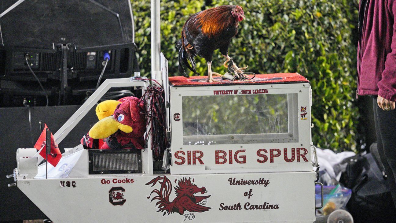 The Ballad of Sir Large Spur — South Carolina’s strange-but-true story of a dwell mascot handler feud
