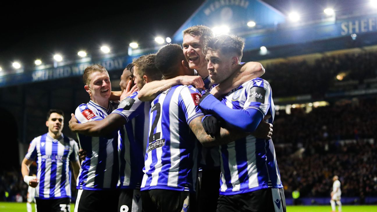 Sheffield Wednesday vs. Newcastle United - Football Match Report ...