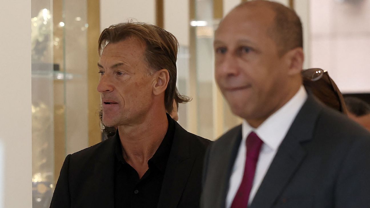 Herve Renard: Former Ghana assistant coach to coach France at Women's World  Cup - Graphic Online