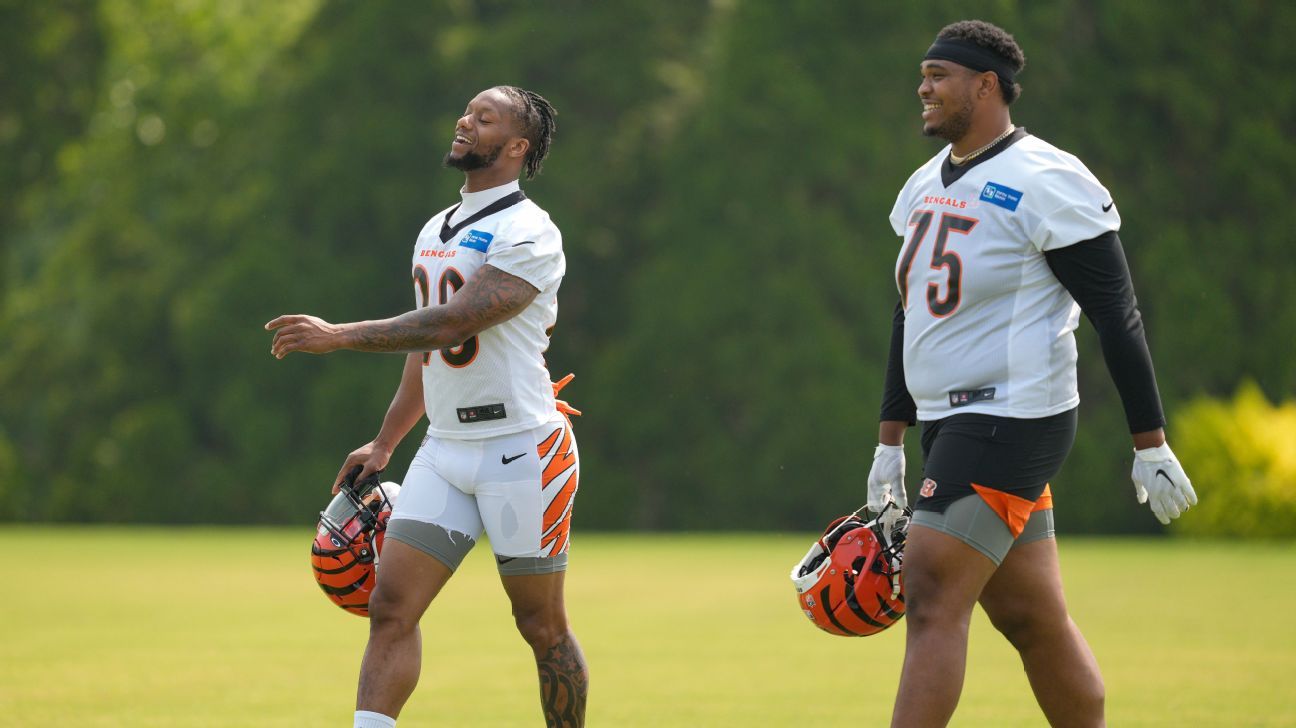 Training camp preview: A closer look at Bengals' wide receivers