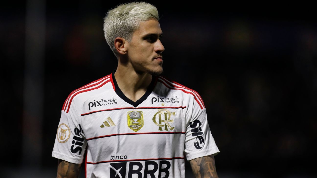 Ex-preparador físico do Flamengo e Pedro chegam a acordo e encerram processo de agressão